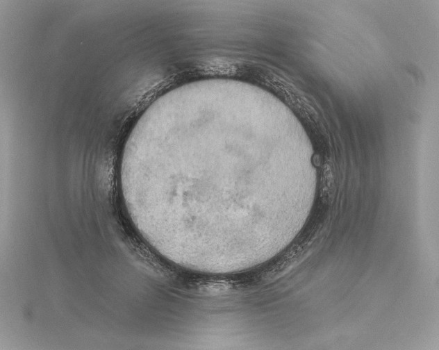 X0000114550600200911161420