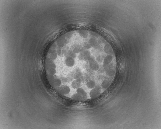 X0000114550607200911161420