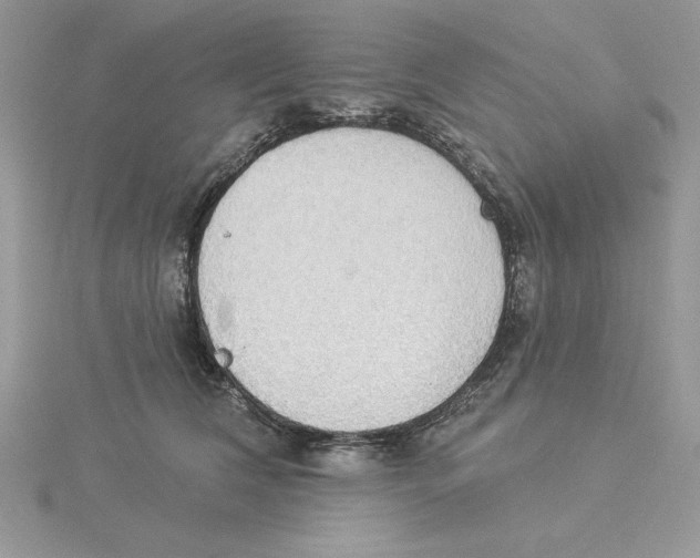 X0000114550612200911161420