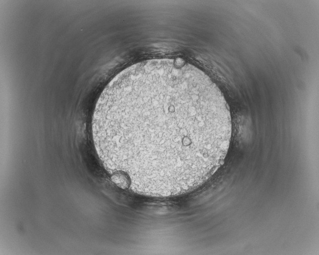 X0000114550615200911161420