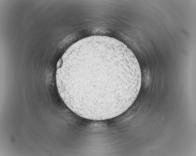 X0000114550619200911161420