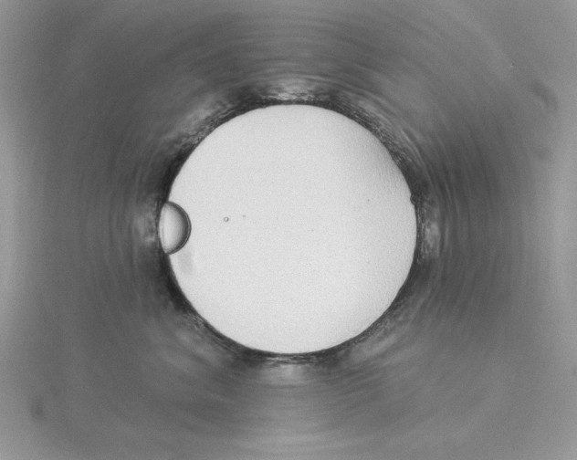 X0000114550620200911161420