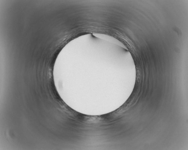 X0000114550621200911161420