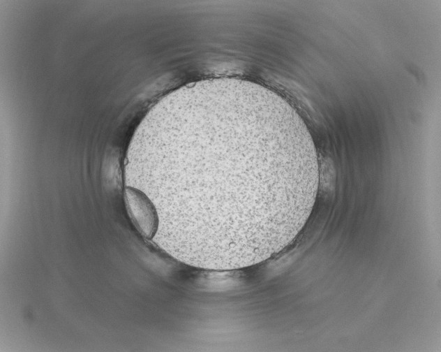 X0000114550622200911161420