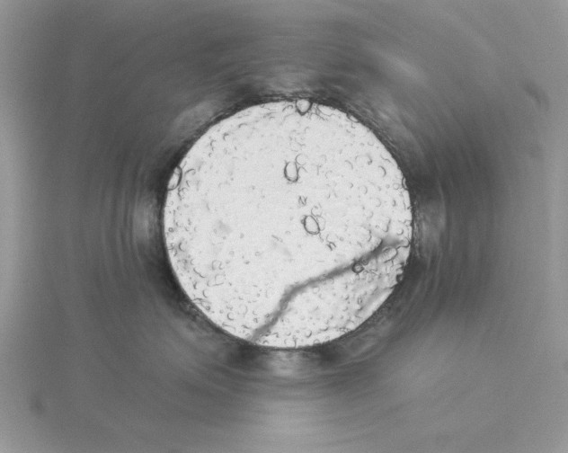 X0000114550623200911161420