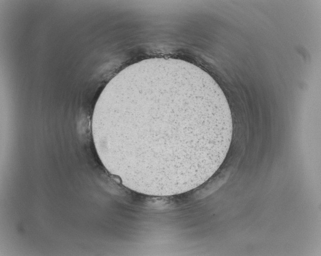 X0000114550624200911161420