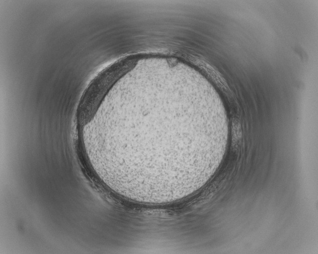 X0000114550628200911161419