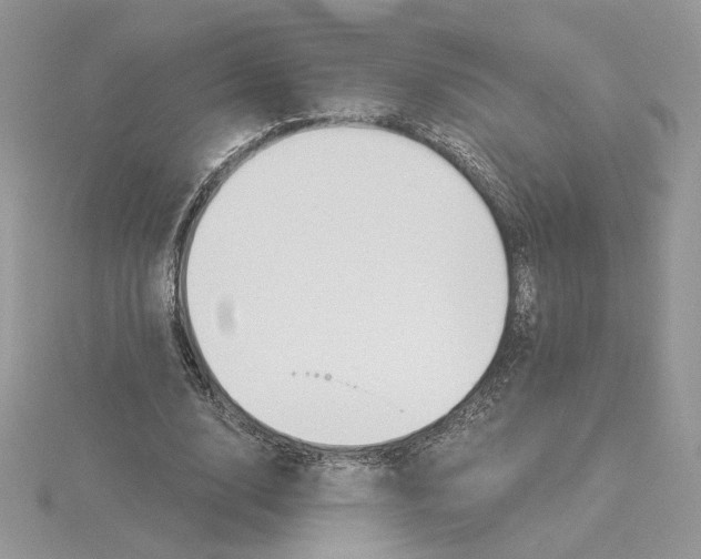 X0000114550632200911161419