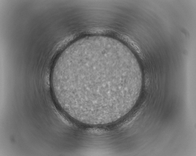 X0000114550633200911161419