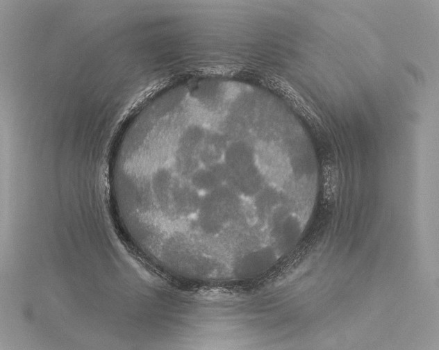 X0000114550634200911161419