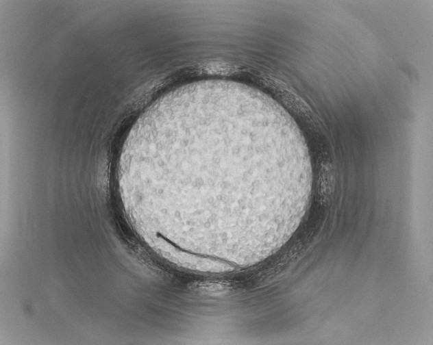 X0000114550639200911161419