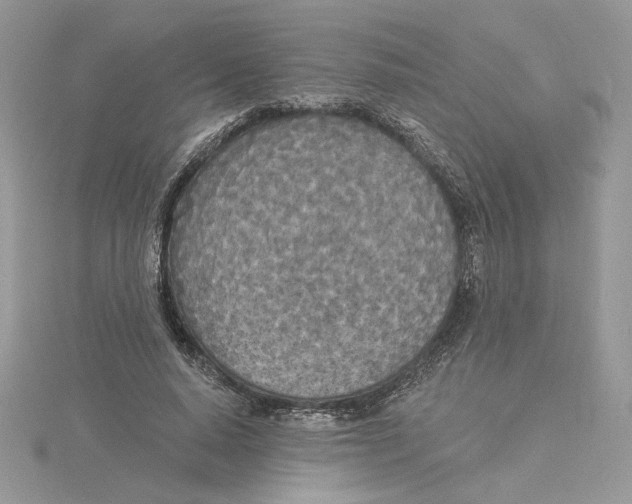 X0000114550640200911161419