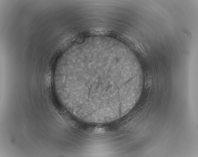 X0000114550647200911161419