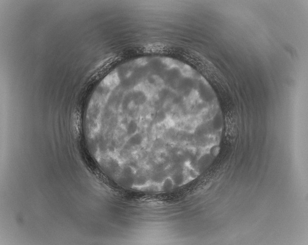 X0000114550648200911161419