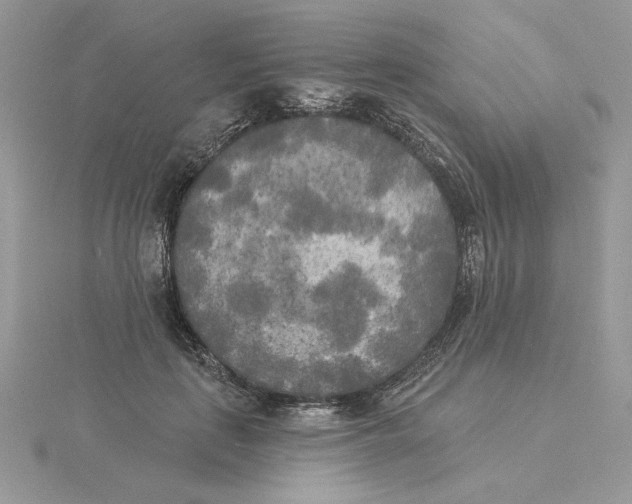 X0000114550651200911161419