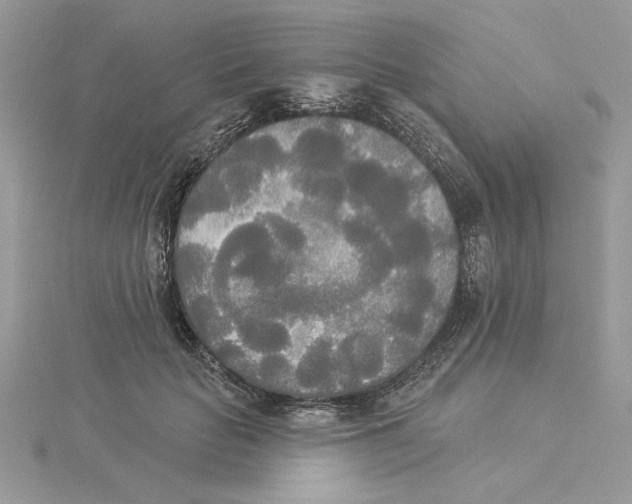 X0000114550653200911161419