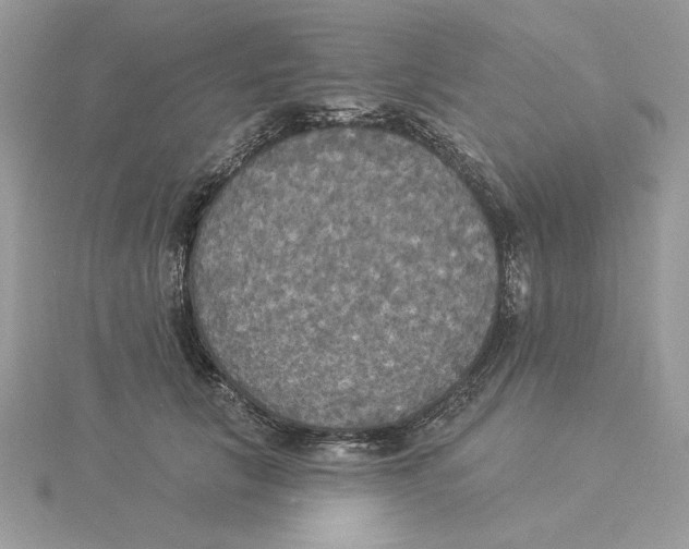 X0000114550657200911161419