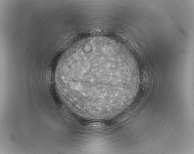 X0000114550659200911161420