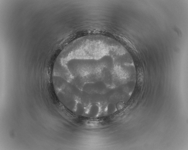 X0000114550661200911161420