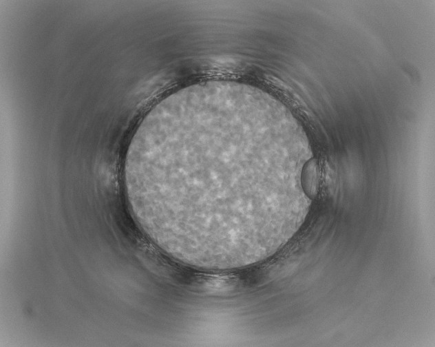 X0000114550663200911161420