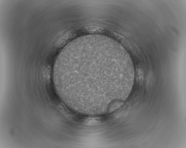 X0000114550664200911161420