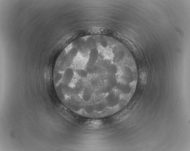 X0000114550665200911161420