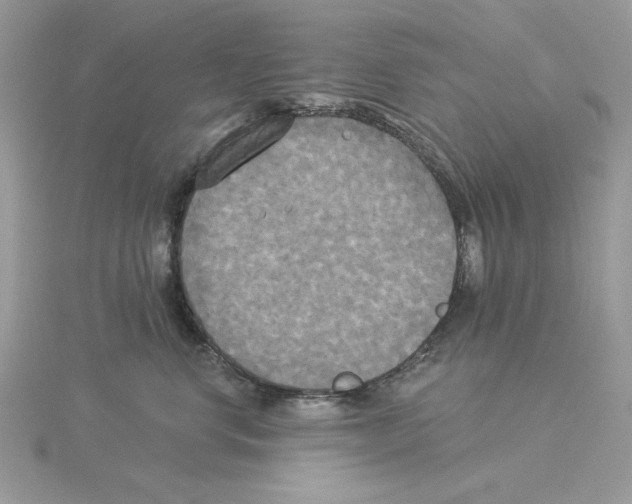 X0000114550668200911161420