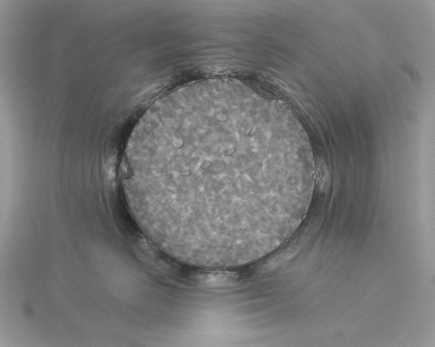 X0000114550670200911161420