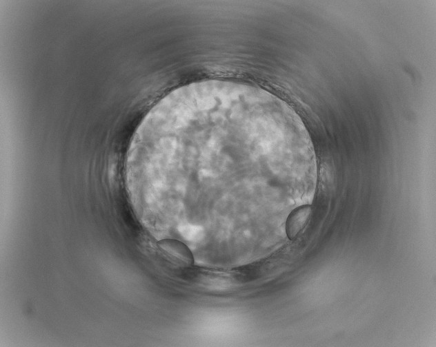 X0000114550671200911161420