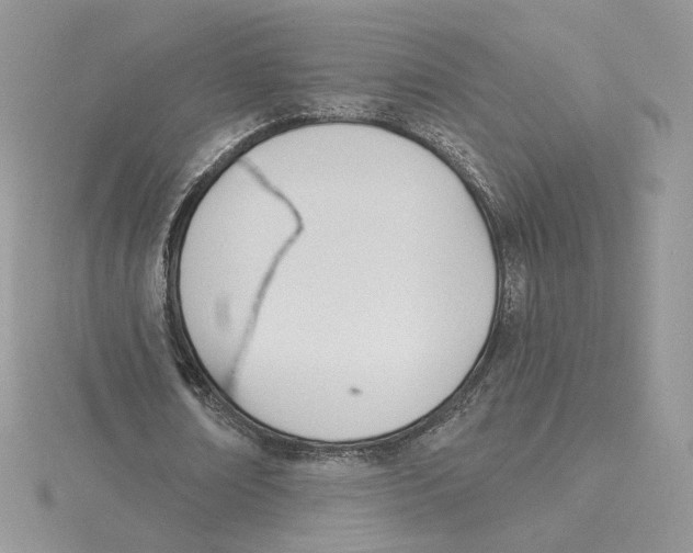 X0000114550674200911161419