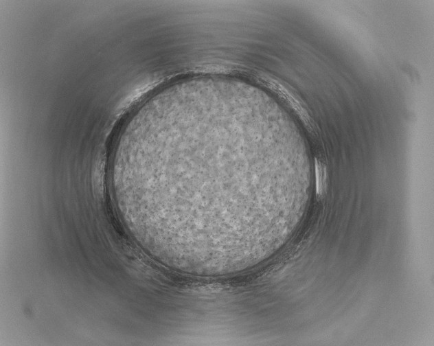 X0000114550675200911161419