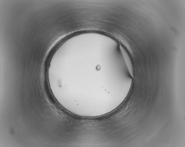 X0000114550676200911161419