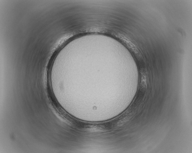 X0000114550678200911161419