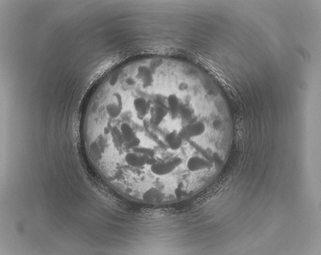 X0000114550679200911161419