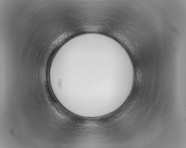 X0000114550682200911161419