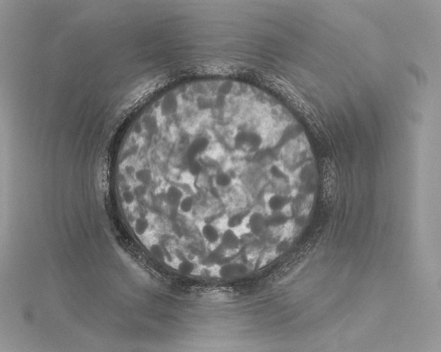 X0000114550683200911161419