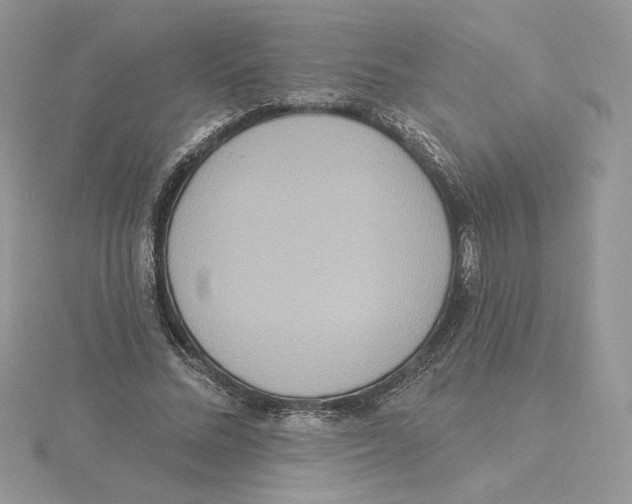 X0000114550684200911161419