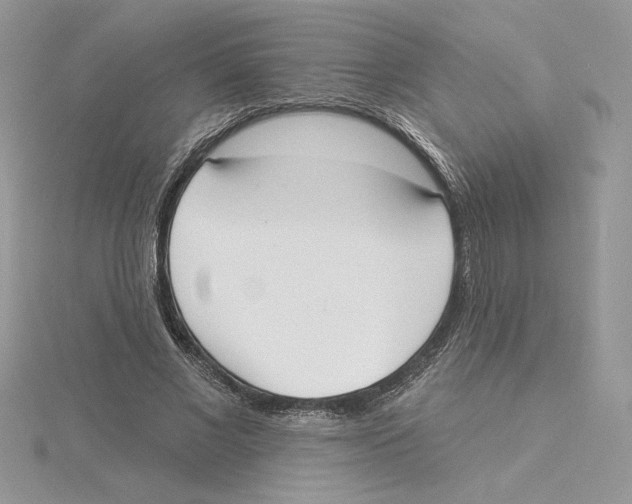 X0000114550685200911161419