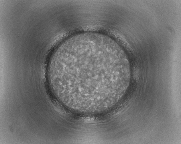 X0000114550687200911161419