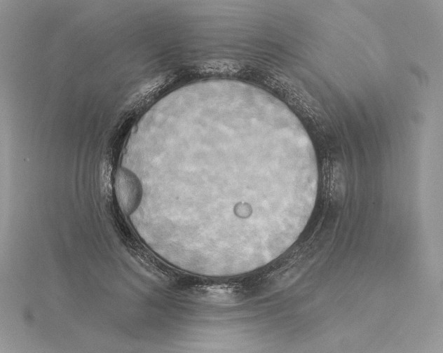 X0000114550692200911161419