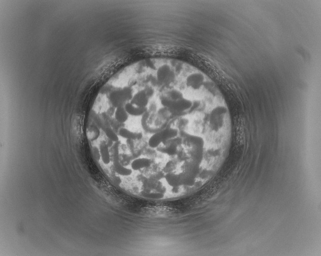 X0000114550695200911161419