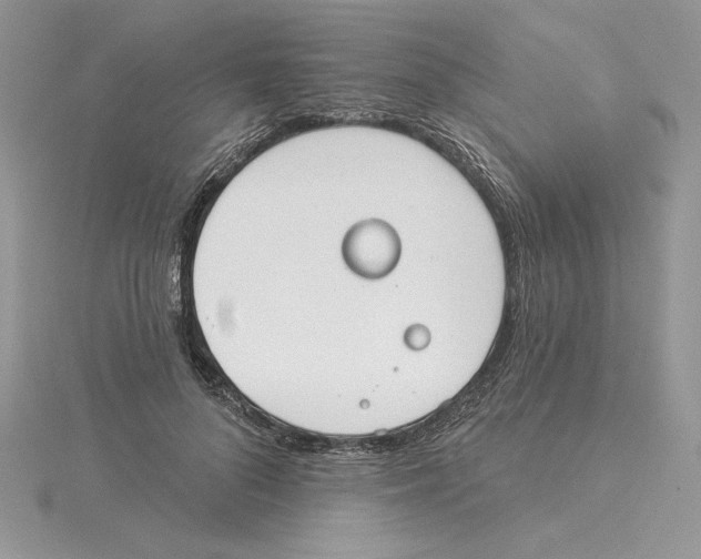 X0000114550696200911161419