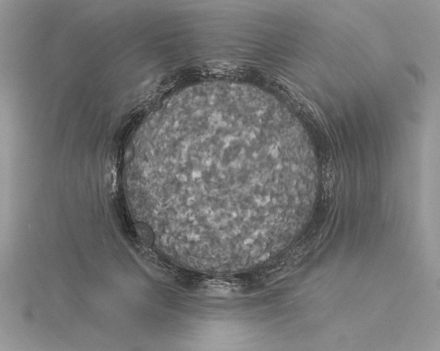 X0000114550703200911161419