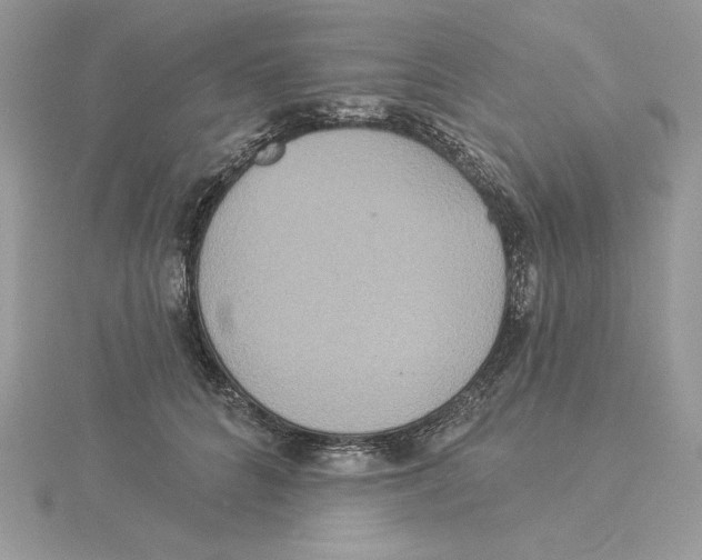 X0000114550704200911161419