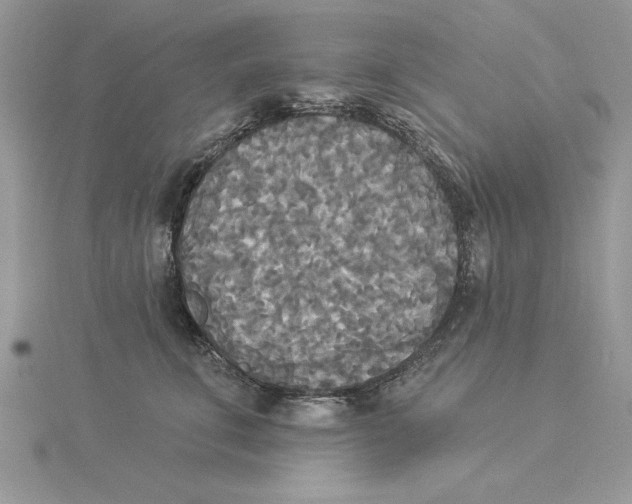 X0000114550711200911161419