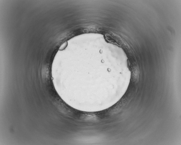 X0000114550715200911161419