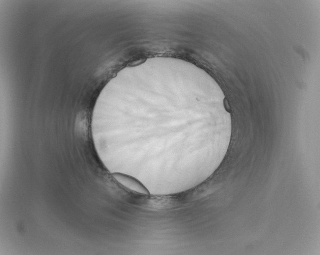 X0000114550720200911161418