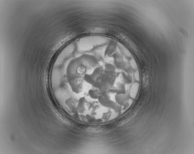 X0000114550725200911161418