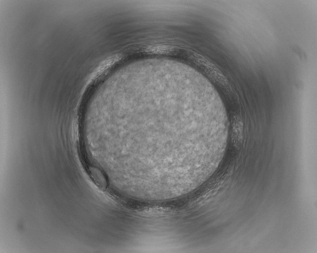 X0000114550734200911161418