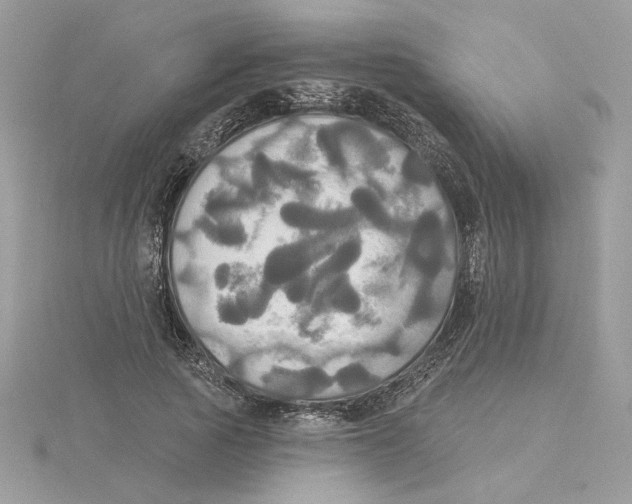 X0000114550737200911161418